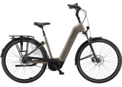 Pegasus Ravenna Evo 7 Belt